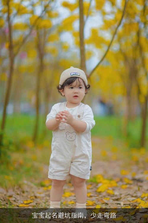 宝宝起名避坑指南,少走弯路 宝宝起名避坑指南,少走弯路