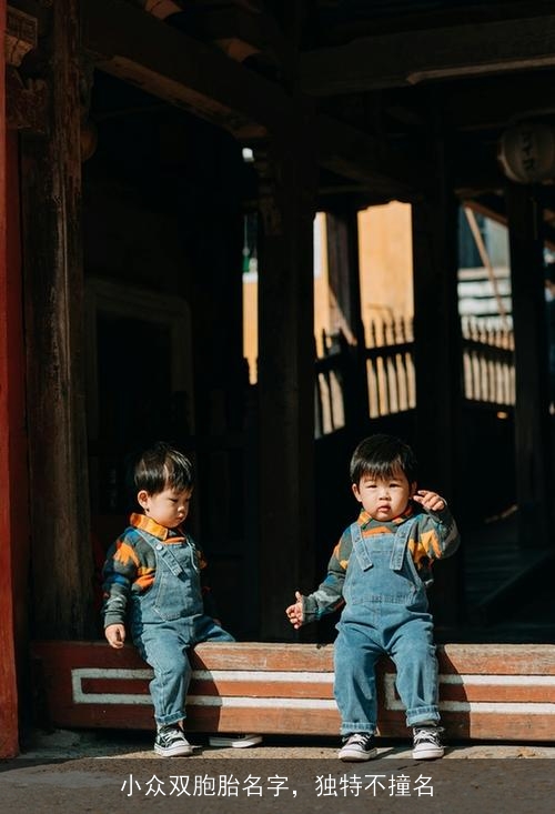 小众双胞胎名字,独特不撞名 小众双胞胎名字,独特不撞名