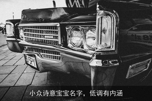 小众诗意宝宝名字,低调有内涵 小众诗意宝宝名字,低调有内涵