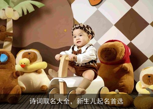 诗词取名大全,新生儿起名首选 诗词取名大全,新生儿起名首选
