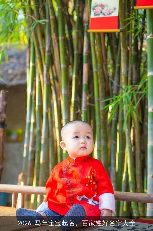 2026 马年宝宝起名,百家姓好名字大全 2026 马年宝宝起名,百家姓好名字大全