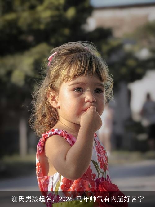 谢氏男孩起名,2026 马年帅气有内涵好名字 谢氏男孩起名,2026 马年帅气有内涵好名字