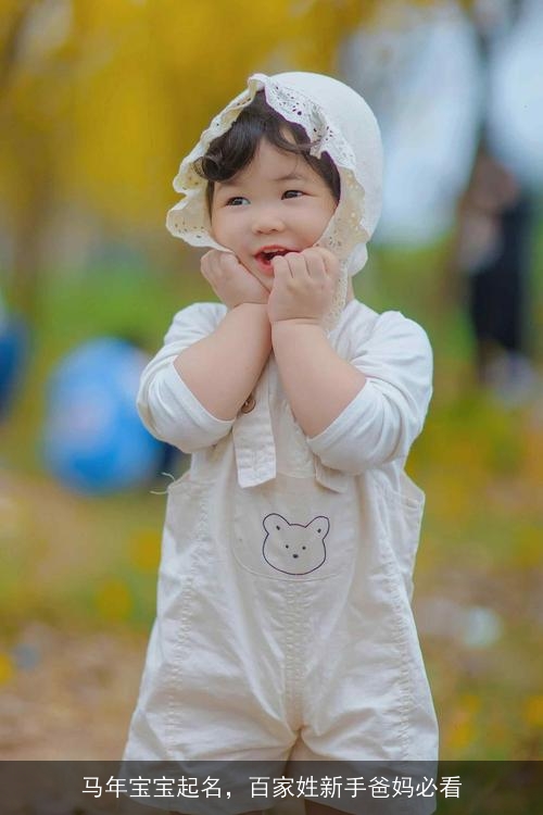 马年宝宝起名,百家姓新手爸妈必看 马年宝宝起名,百家姓新手爸妈必看