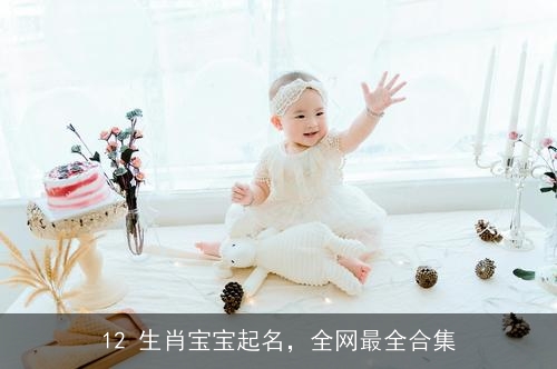 12 生肖宝宝起名,全网最全合集 12 生肖宝宝起名,全网最全合集