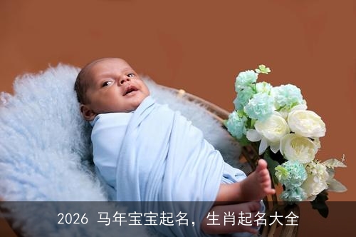 2026 马年宝宝起名,生肖起名大全 2026 马年宝宝起名,生肖起名大全