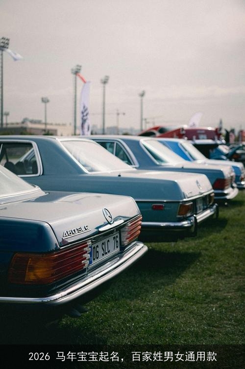 2026 马年宝宝起名,百家姓男女通用款 2026 马年宝宝起名,百家姓男女通用款
