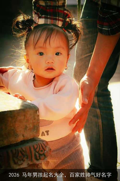 2026 马年男孩起名大全,百家姓帅气好名字 2026 马年男孩起名大全,百家姓帅气好名字