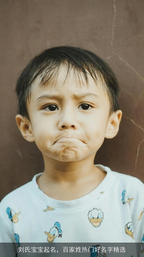 刘氏宝宝起名,百家姓热门好名字精选 刘氏宝宝起名,百家姓热门好名字精选