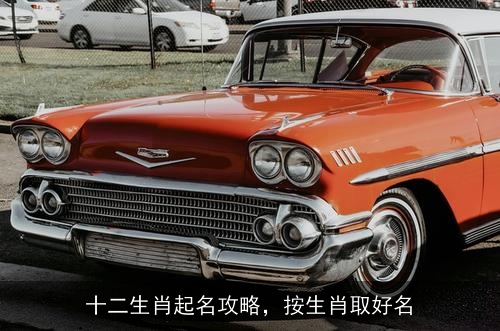 十二生肖起名攻略,按生肖取好名 十二生肖起名攻略,按生肖取好名