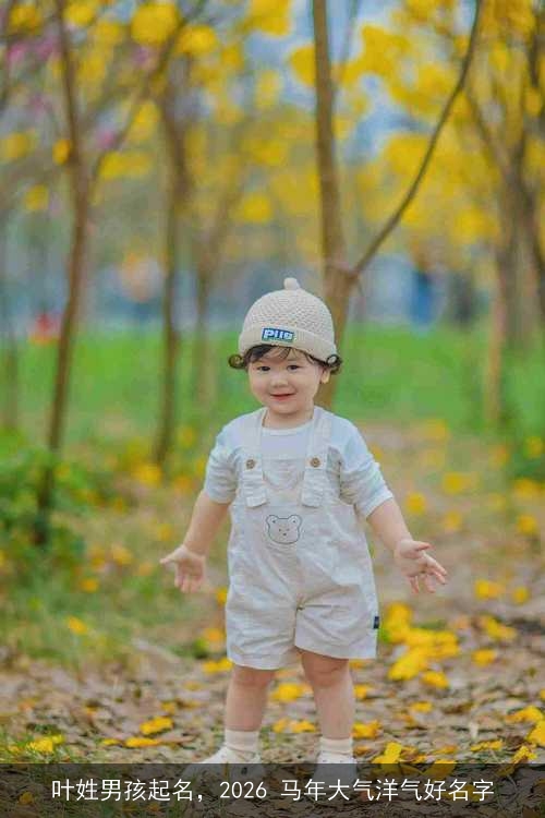 叶姓男孩起名,2026 马年大气洋气好名字 叶姓男孩起名,2026 马年大气洋气好名字