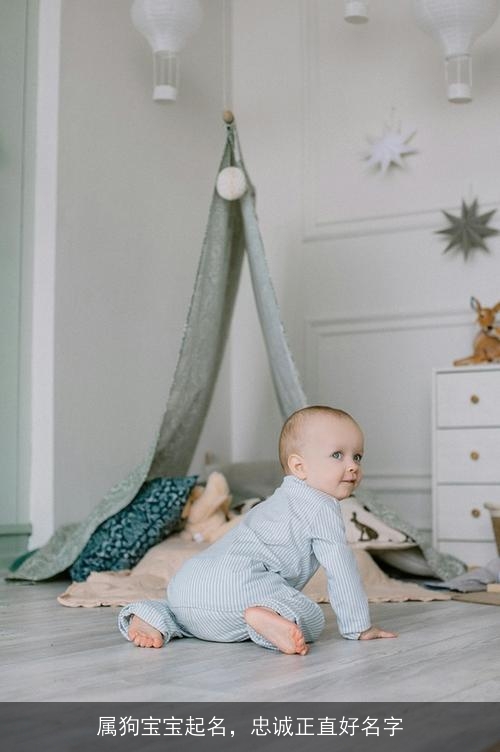 属狗宝宝起名,忠诚正直好名字 属狗宝宝起名,忠诚正直好名字