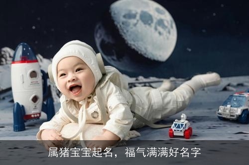 属猪宝宝起名,福气满满好名字 属猪宝宝起名,福气满满好名字