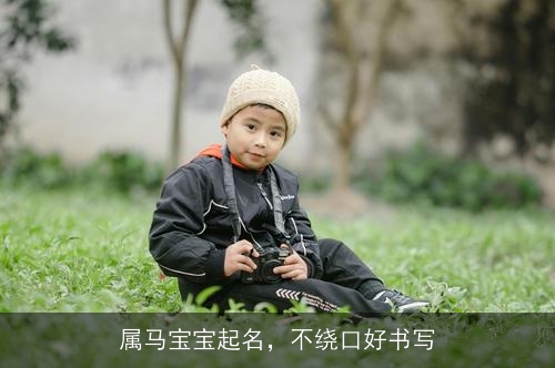 属马宝宝起名,不绕口好书写 属马宝宝起名,不绕口好书写