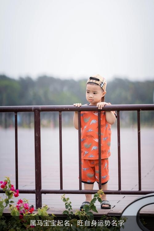 属马宝宝起名,旺自身运势名字 属马宝宝起名,旺自身运势名字