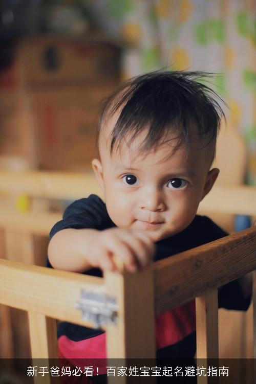 新手爸妈必看!百家姓宝宝起名避坑指南 新手爸妈必看!百家姓宝宝起名避坑指南