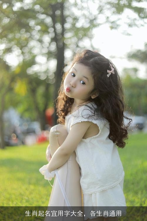 生肖起名宜用字大全,各生肖通用 生肖起名宜用字大全,各生肖通用