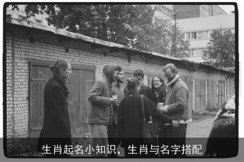 生肖起名小知识,生肖与名字搭配 生肖起名小知识,生肖与名字搭配