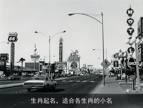 生肖起名,适合各生肖的小名 生肖起名,适合各生肖的小名