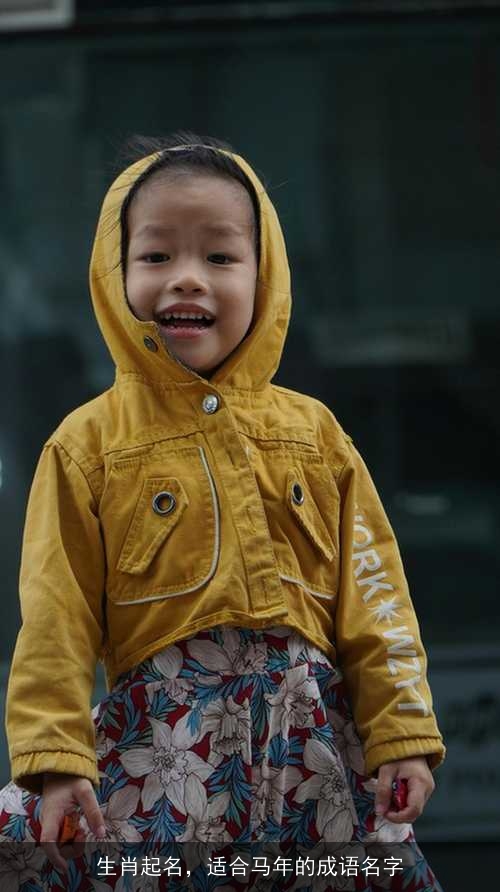 生肖起名,适合马年的成语名字 生肖起名,适合马年的成语名字