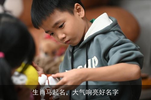 生肖马起名,大气响亮好名字 生肖马起名,大气响亮好名字