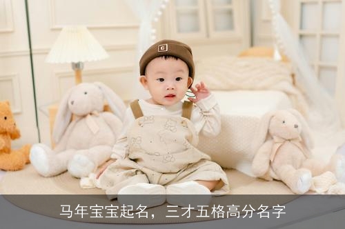 马年宝宝起名,三才五格高分名字 马年宝宝起名,三才五格高分名字