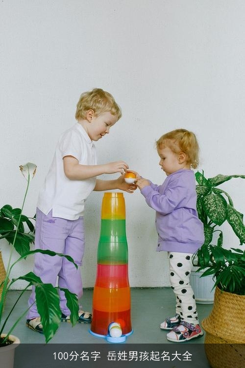 100分名字 岳姓男孩起名大全 100分名字 岳姓男孩起名大全