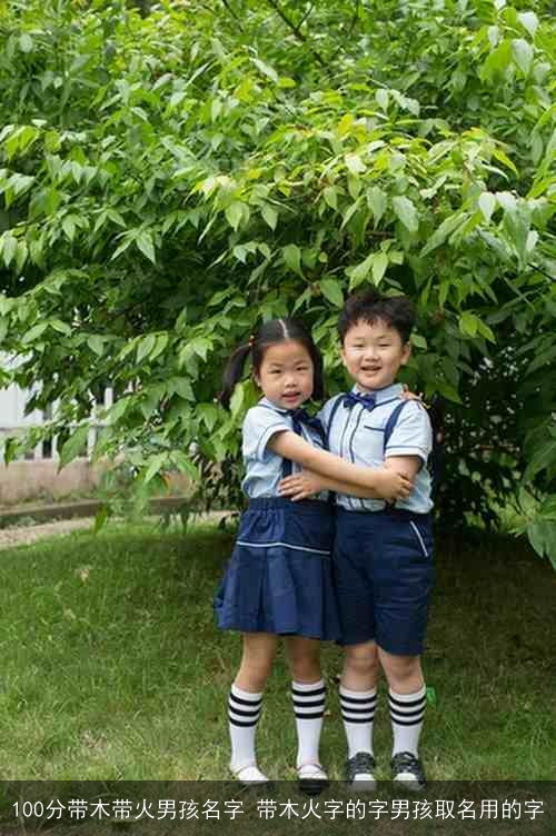 100分带木带火男孩名字 带木火字的字男孩取名用的字 100分带木带火男孩名字 带木火字的字男孩取名用的字