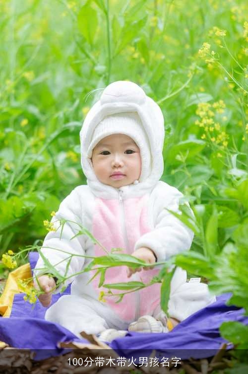 100分带木带火男孩名字 100分带木带火男孩名字