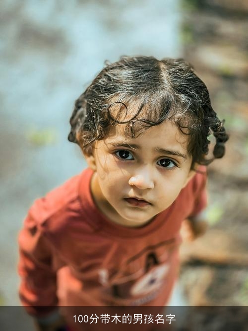 100分带木的男孩名字 100分带木的男孩名字