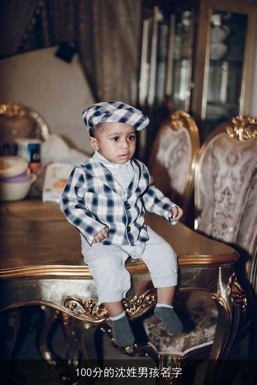 100分的沈姓男孩名字 100分的沈姓男孩名字
