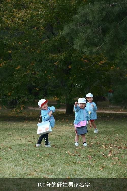 100分的舒姓男孩名字 100分的舒姓男孩名字