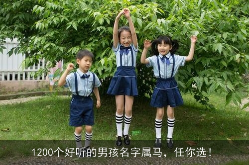 1200个好听的男孩名字属马,任你选! 1200个好听的男孩名字属马,任你选!