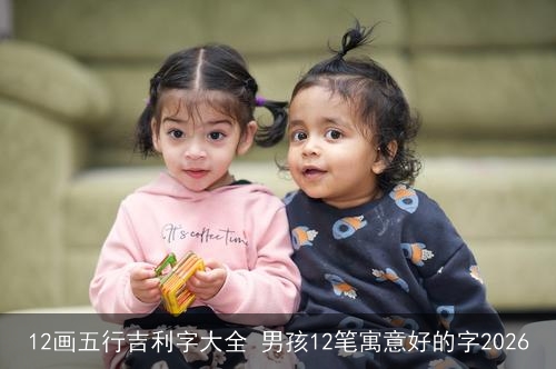 12画五行吉利字大全 男孩12笔寓意好的字2026 12画五行吉利字大全 男孩12笔寓意好的字2026