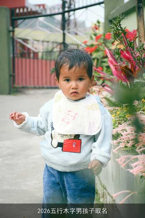 2026五行木字男孩子取名 2026五行木字男孩子取名