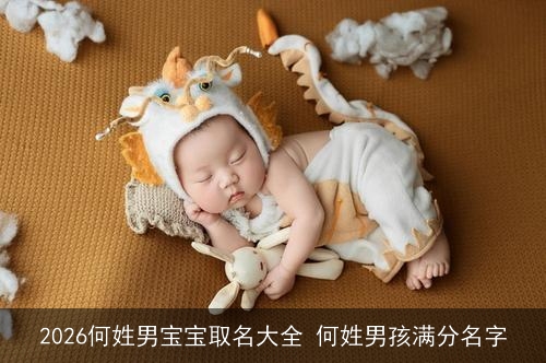 2026何姓男宝宝取名大全 何姓男孩满分名字 2026何姓男宝宝取名大全 何姓男孩满分名字