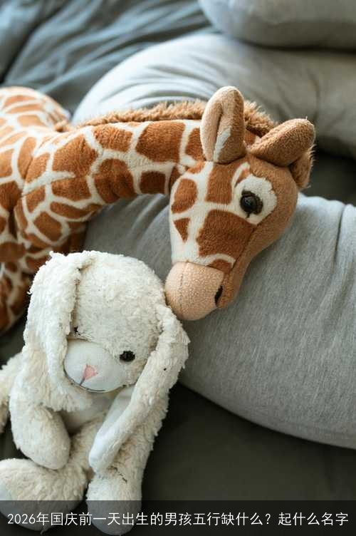2026年国庆前一天出生的男孩五行缺什么?起什么名字 2026年国庆前一天出生的男孩五行缺什么?起什么名字