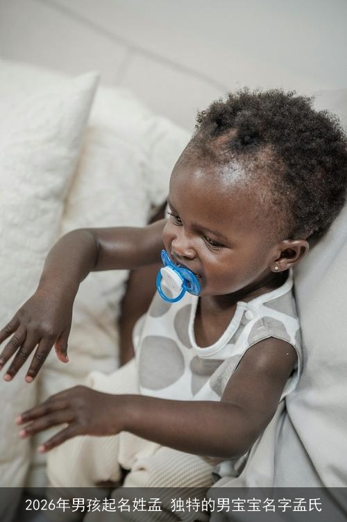 2026年男孩起名姓孟 独特的男宝宝名字孟氏 2026年男孩起名姓孟 独特的男宝宝名字孟氏