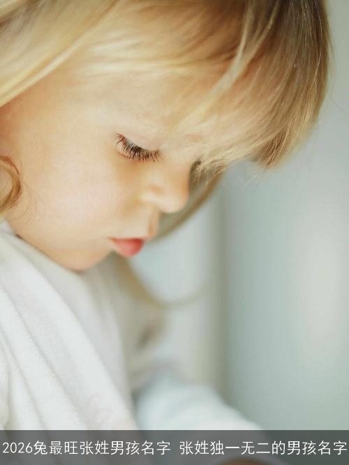 2026兔最旺张姓男孩名字 张姓独一无二的男孩名字 2026兔最旺张姓男孩名字 张姓独一无二的男孩名字
