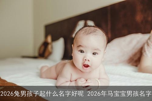 2026兔男孩子起什么名字好呢 2026年马宝宝男孩名字 2026兔男孩子起什么名字好呢 2026年马宝宝男孩名字