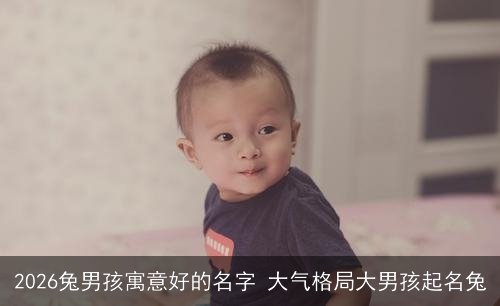 2026兔男孩寓意好的名字 大气格局大男孩起名兔 2026兔男孩寓意好的名字 大气格局大男孩起名兔