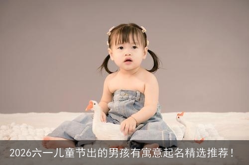 2026六一儿童节出的男孩有寓意起名精选推荐! 2026六一儿童节出的男孩有寓意起名精选推荐!