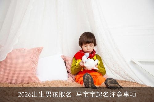 2026出生男孩取名 马宝宝起名注意事项 2026出生男孩取名 马宝宝起名注意事项