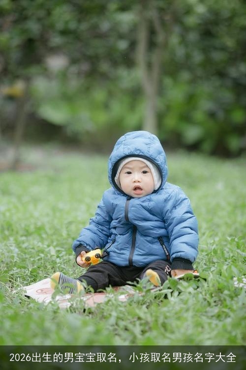 2026出生的男宝宝取名,小孩取名男孩名字大全 2026出生的男宝宝取名,小孩取名男孩名字大全
