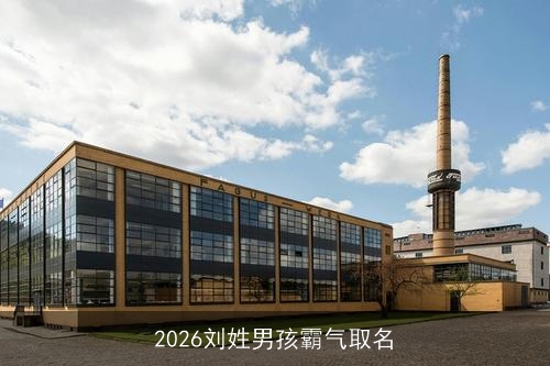 2026刘姓男孩霸气取名 2026刘姓男孩霸气取名