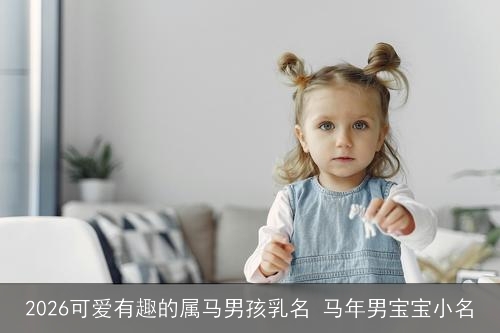 2026可爱有趣的属马男孩乳名 马年男宝宝小名 2026可爱有趣的属马男孩乳名 马年男宝宝小名