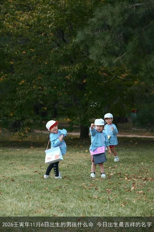 2026壬寅年11月6日出生的男孩什么命 今日出生最吉祥的名字 2026壬寅年11月6日出生的男孩什么命 今日出生最吉祥的名字