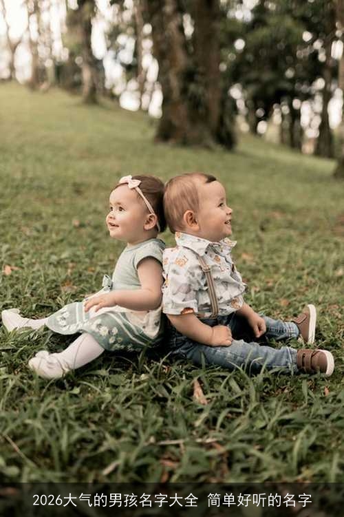2026大气的男孩名字大全 简单好听的名字 2026大气的男孩名字大全 简单好听的名字