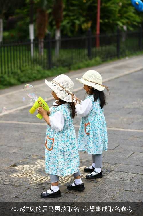 2026姓凤的属马男孩取名 心想事成取名参考 2026姓凤的属马男孩取名 心想事成取名参考