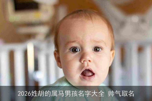 2026姓胡的属马男孩名字大全 帅气取名 2026姓胡的属马男孩名字大全 帅气取名