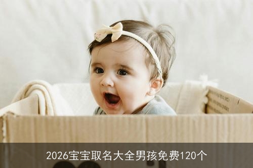 2026宝宝取名大全男孩免费120个 2026宝宝取名大全男孩免费120个